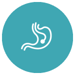 ENDOSCOPIA