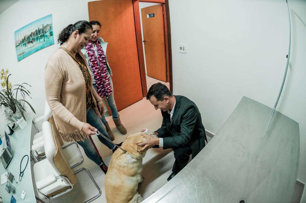 Profissionais em atendimento clínico